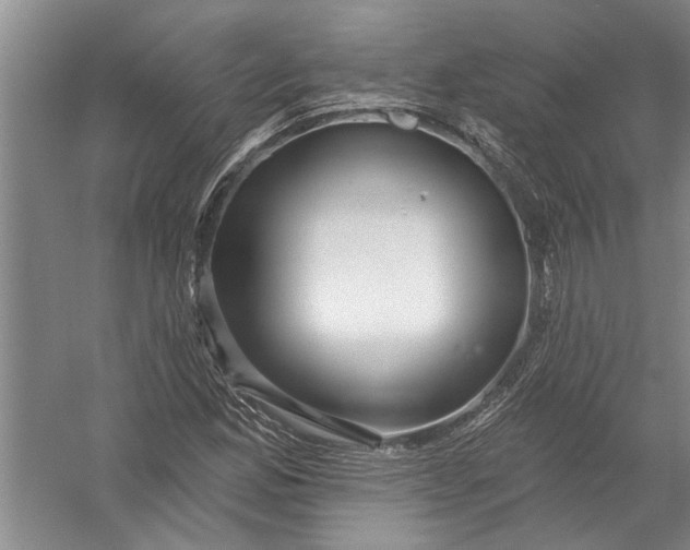 X0000054381165200508191905