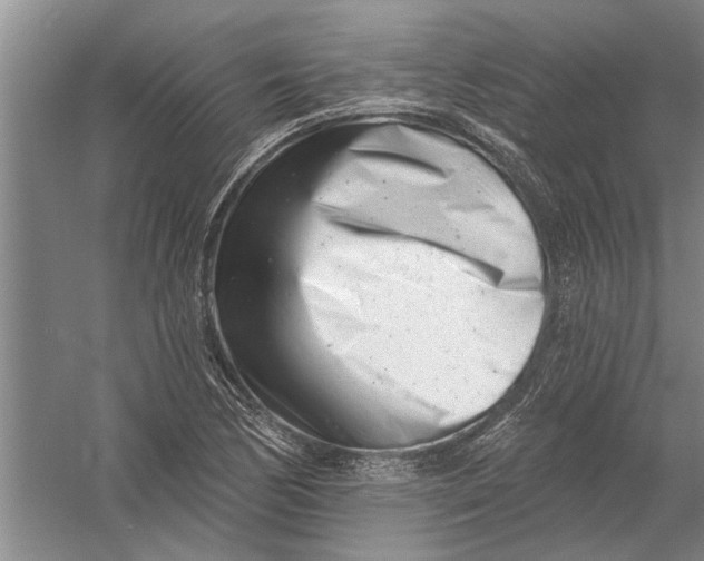 X0000054381170200508191905