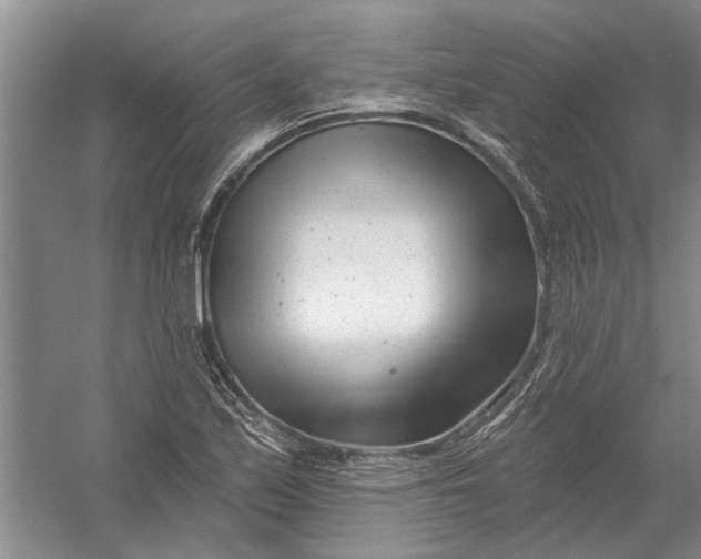 X0000054381171200508191905