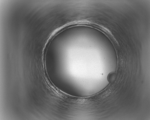 X0000054381176200508191905