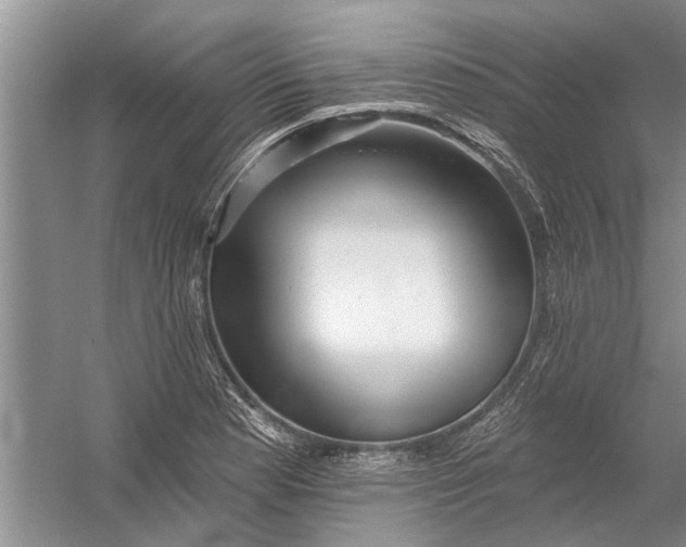 X0000054381177200508191905