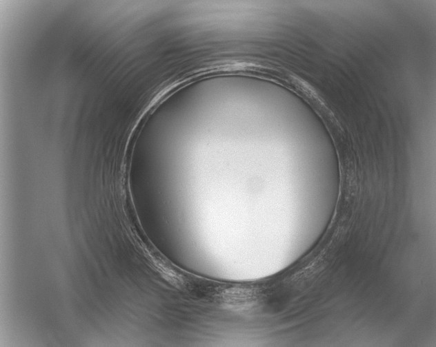 X0000054381178200508191905