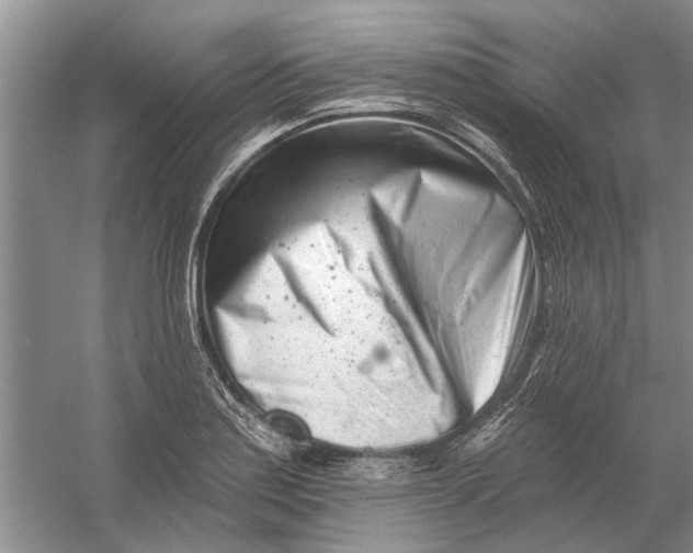 X0000054381179200508191905