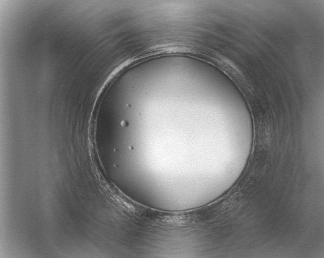 X0000054381182200508191905