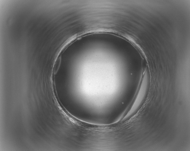 X0000054381189200508191904