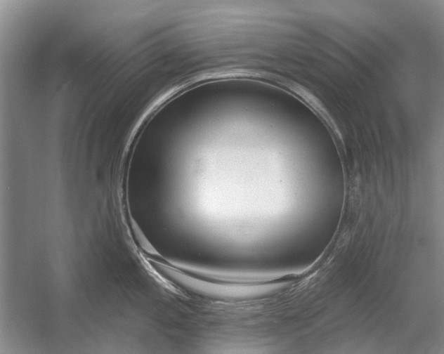 X0000054381197200508191904