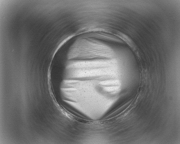 X0000054381198200508191904