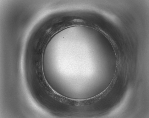 X0000054381199200508191904