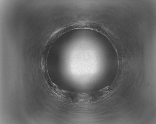X0000054381206200508191903