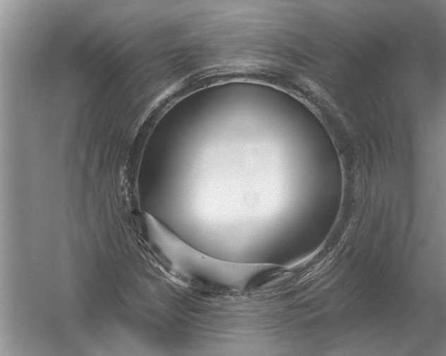 X0000054381210200508191904