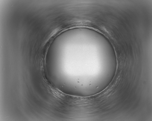 X0000054381211200508191904