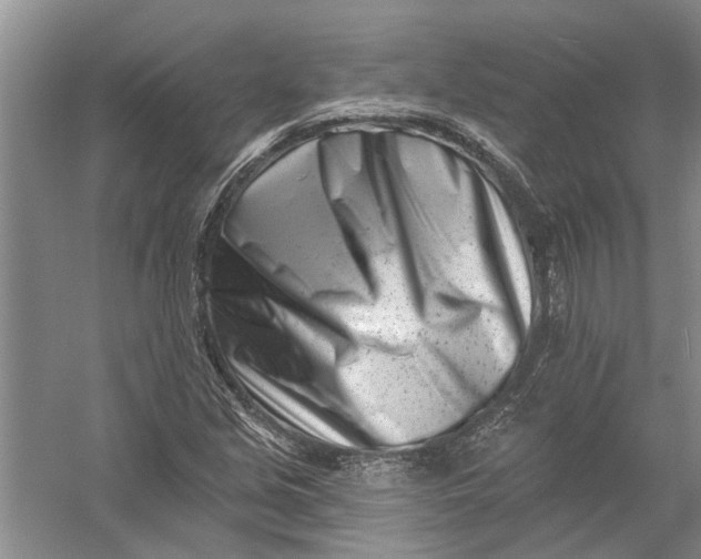 X0000054381213200508191904
