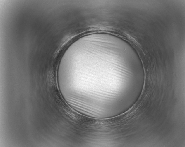 X0000054381215200508191904
