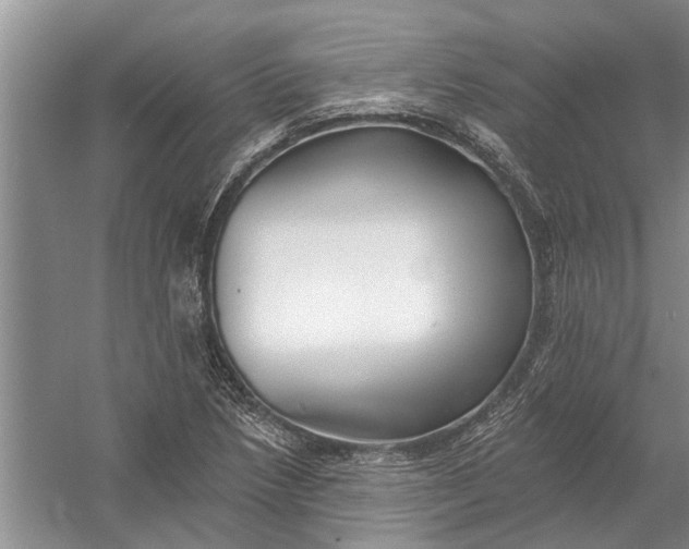 X0000054381218200508191904