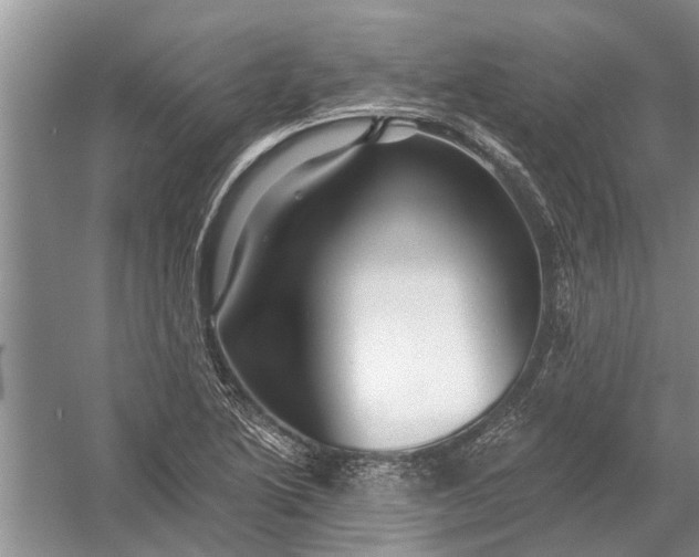 X0000054381222200508191904