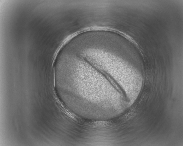 X0000054381223200508191904