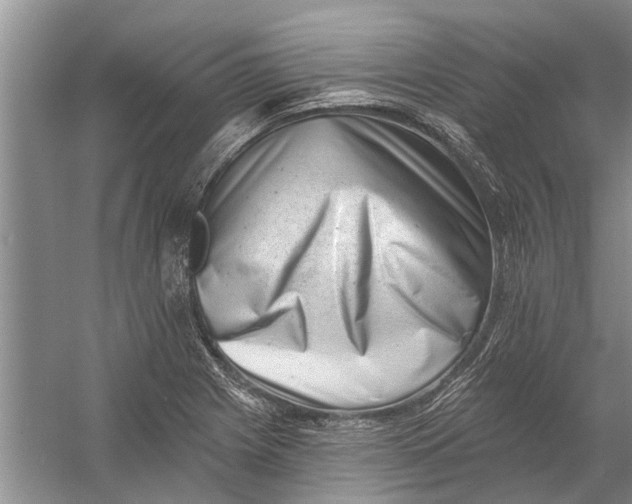 X0000054381225200508191904