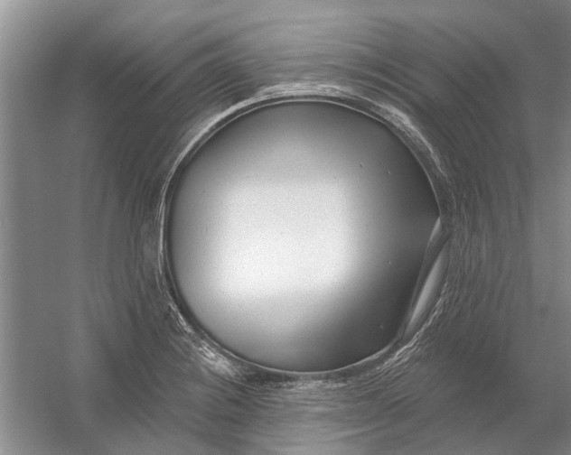 X0000054381228200508191904