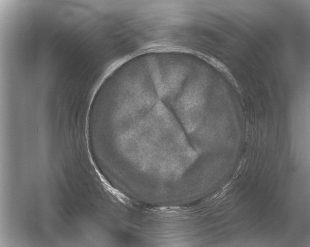 X0000054381231200508191904