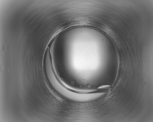 X0000054381234200508191904