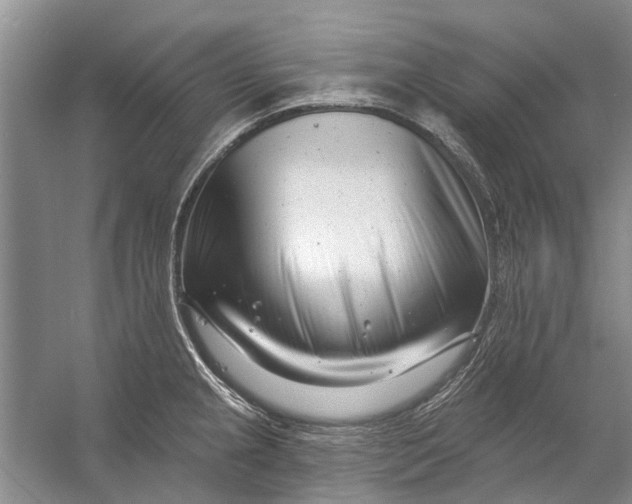 X0000054381237200508191904
