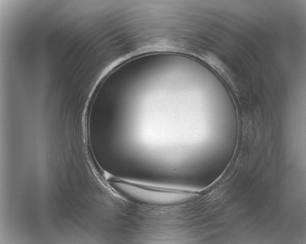 X0000054381238200508191904
