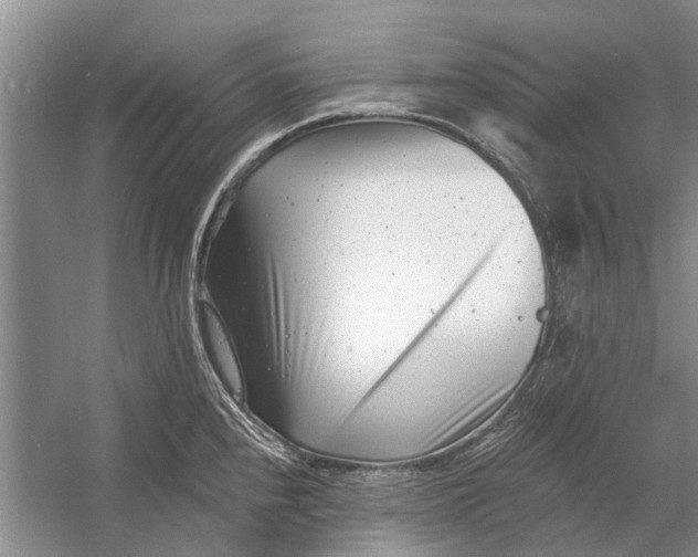 X0000054381240200508191904