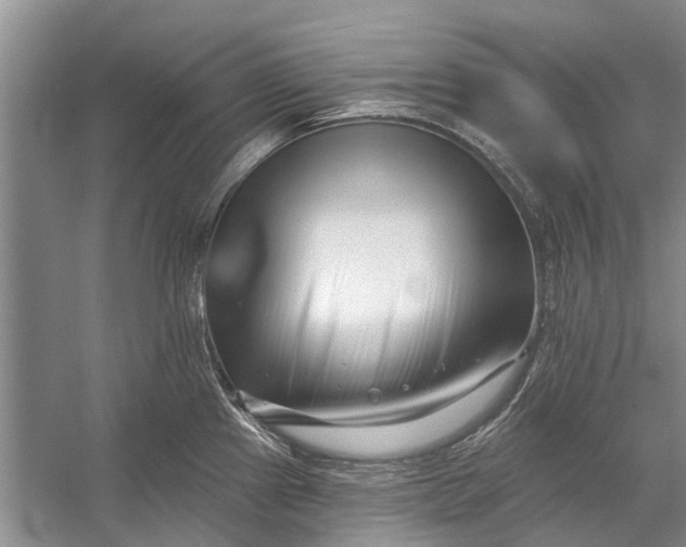 X0000054381241200508191904