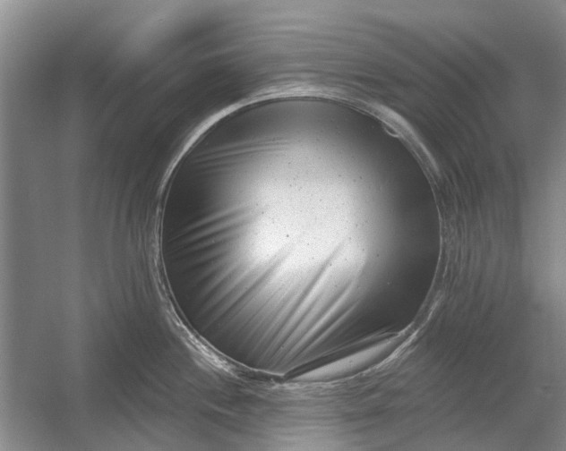 X0000054381244200508191904