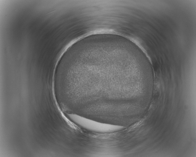 X0000054381245200508191904