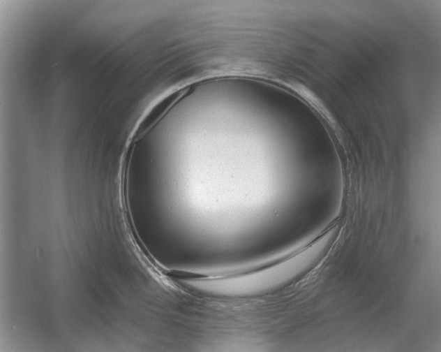 X0000054381246200508191904