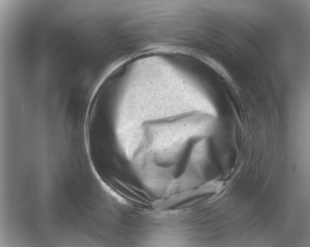 X0000054381247200508191904