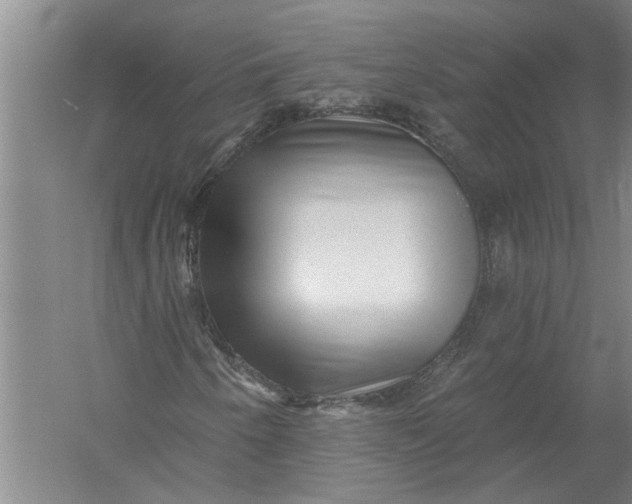 X0000054381250200508191903