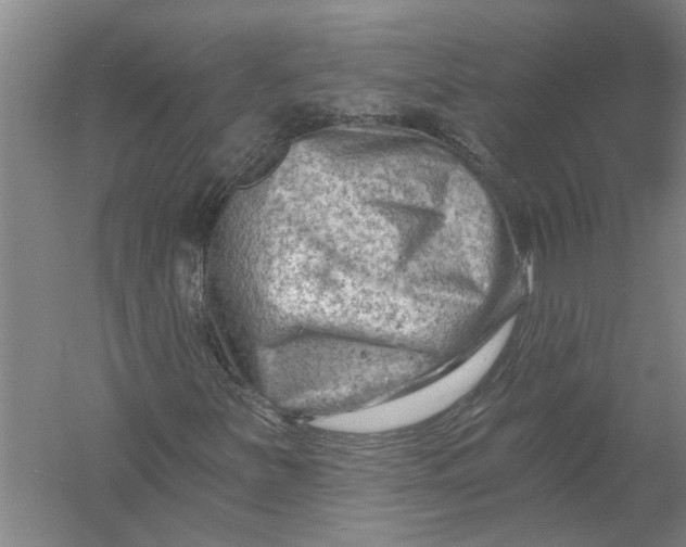 X0000054381251200508191903