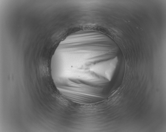 X0000054381252200508191903