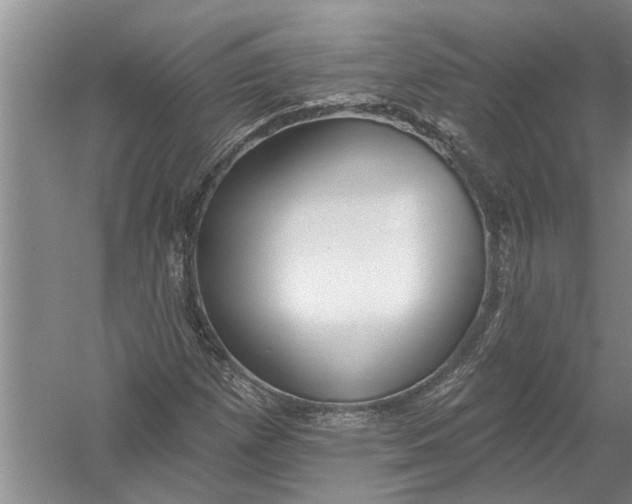 X0000054381257200508191903