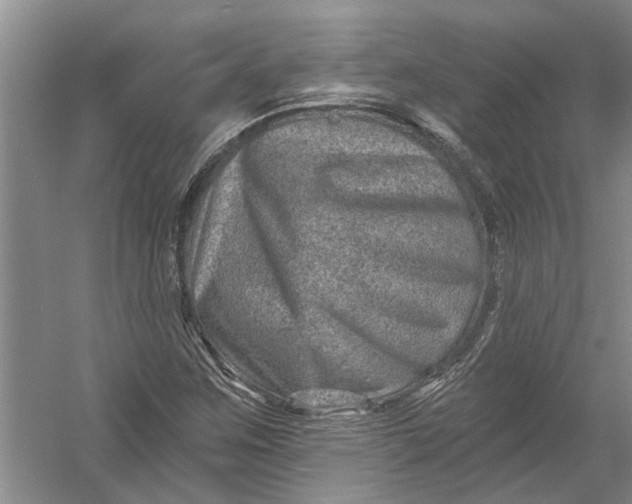X0000054381259200508191903