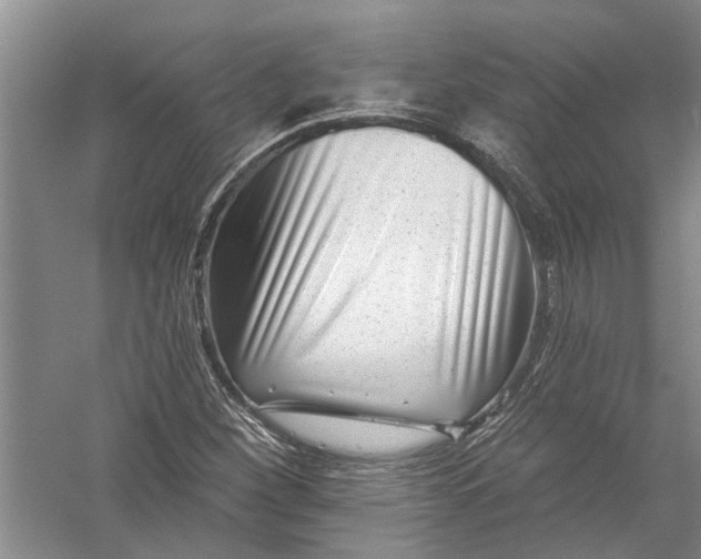 X0000054381260200508191903
