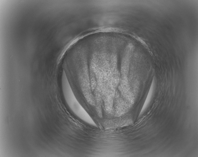 X0000054381263200508191903