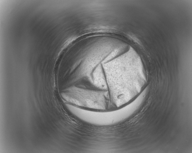 X0000054381267200508191903