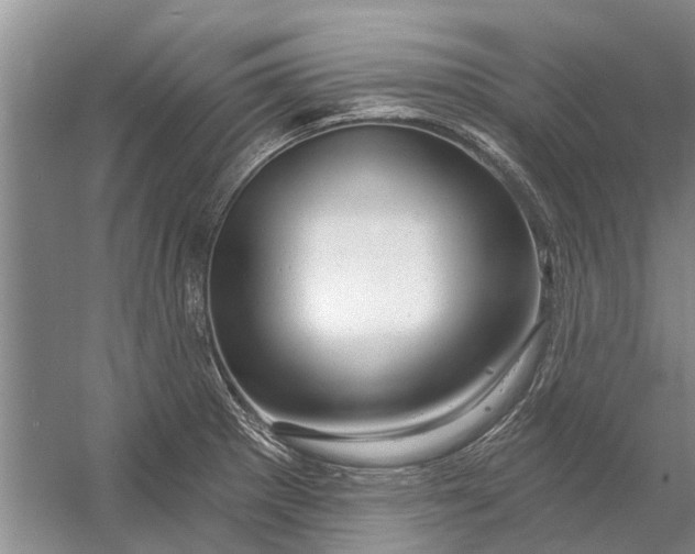 X0000054381281200508191903
