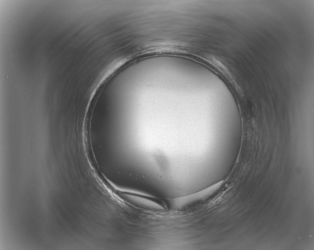 X0000054381285200508191903