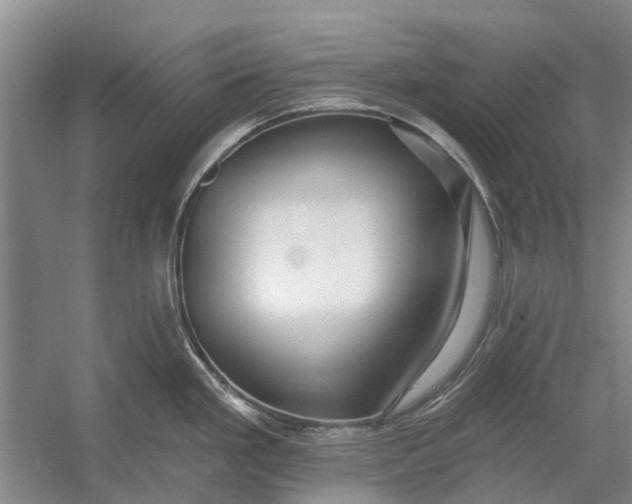X0000054381293200508191903