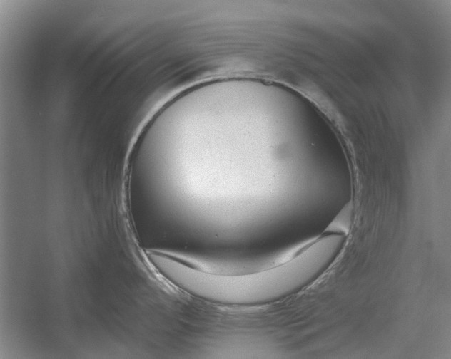X0000054381296200508191903