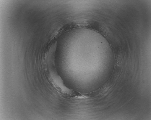 X0000054381298200508191902