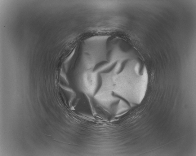 X0000054381300200508191902