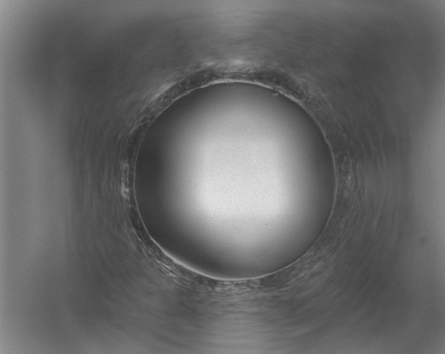 X0000054381301200508191902