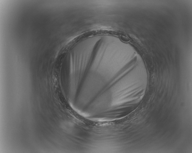 X0000054381303200508191902