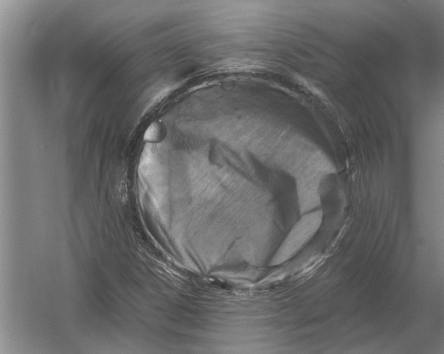 X0000054381306200508191902
