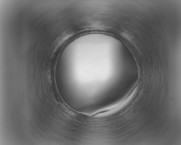 X0000054381307200508191902